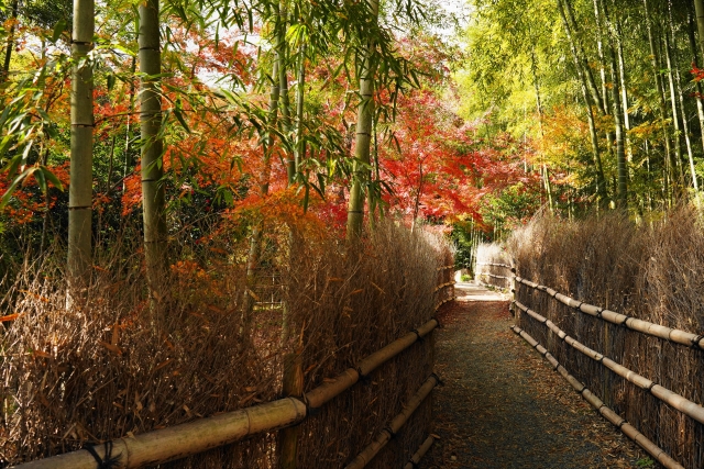 kyoto